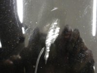 DSCN4916.jpg
