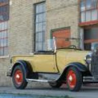 TEX29
