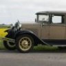 Panteren