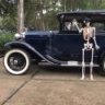 Mulletwagon