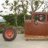 Flathead Fever
