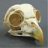 deadbird