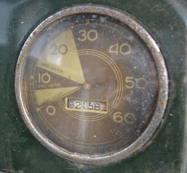 39 Speedo
