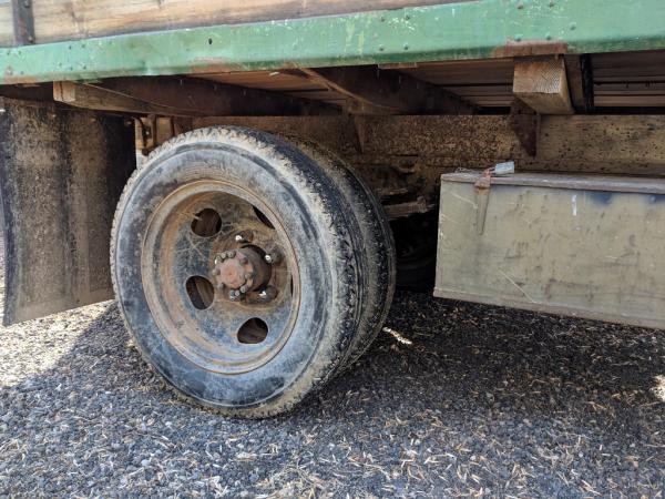 rear lugs